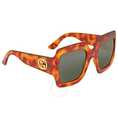 gucci round havana plastic sunglasses brown|gucci oversized square sunglasses.